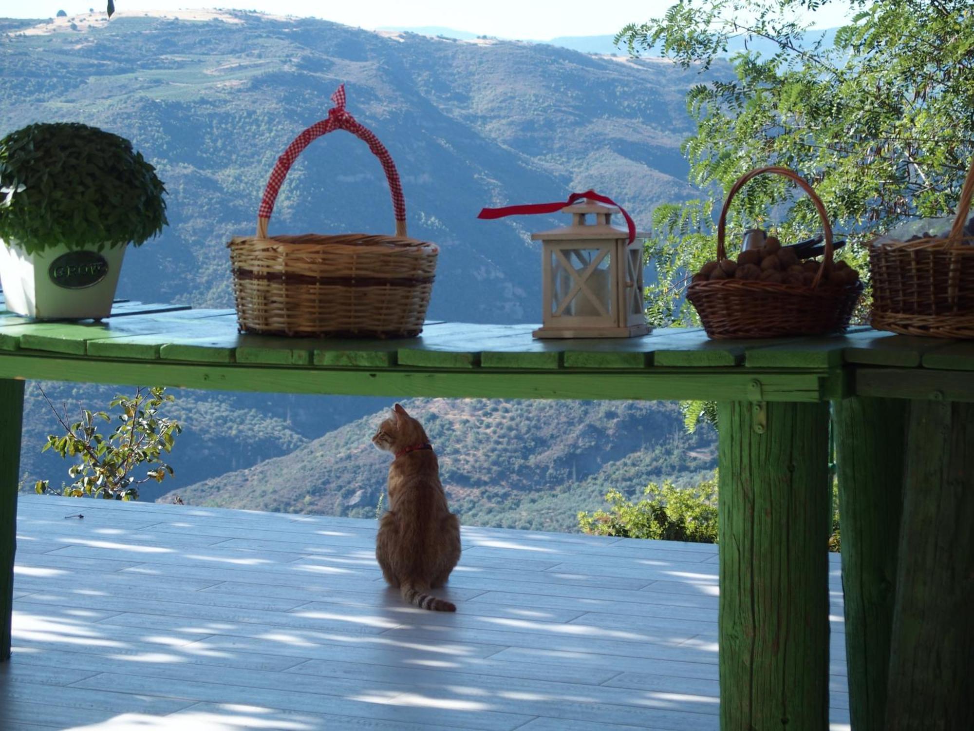ホテル Ktima Noosfera Wellness & Retreat Center Karya エクステリア 写真