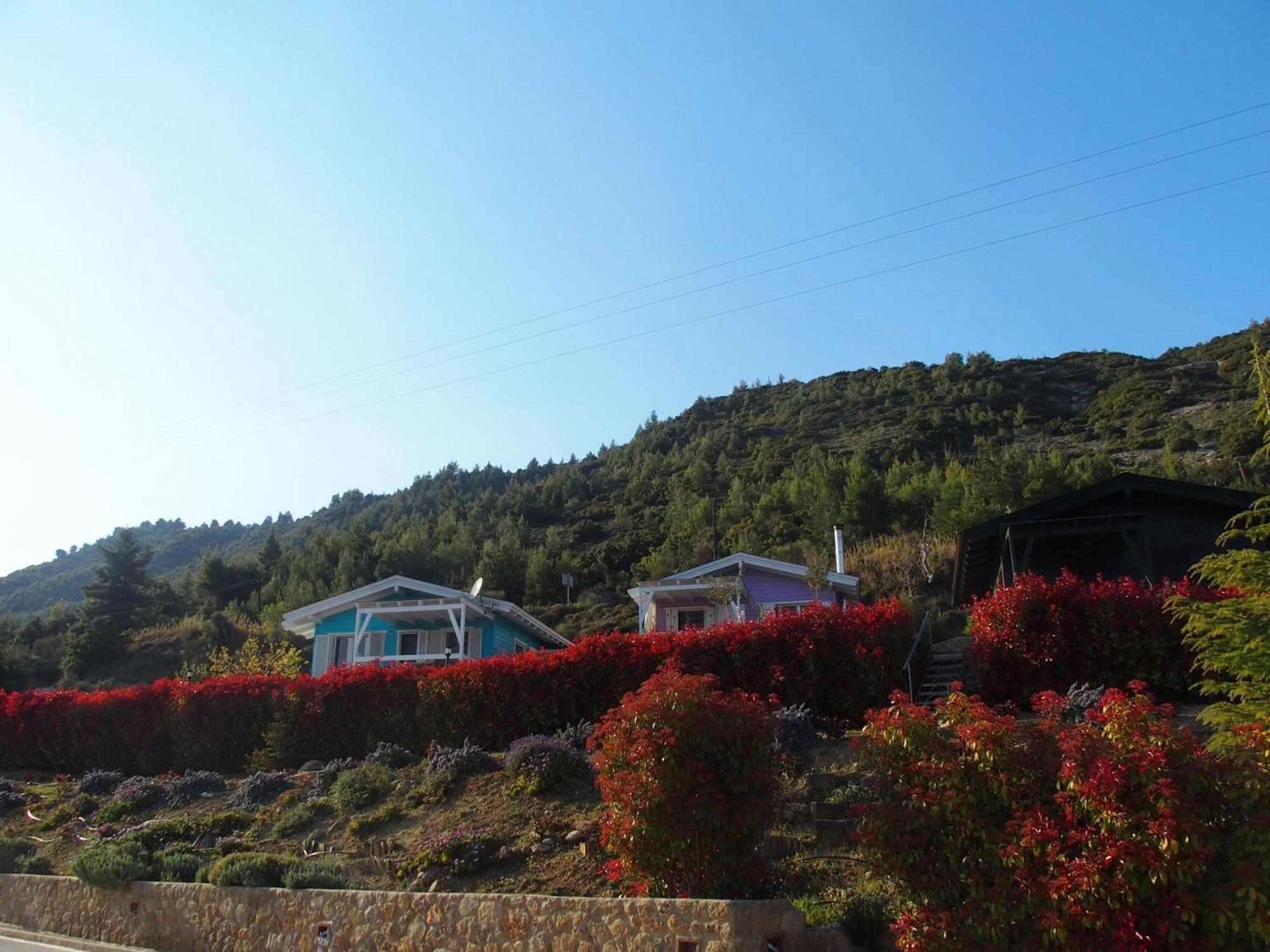 ホテル Ktima Noosfera Wellness & Retreat Center Karya エクステリア 写真